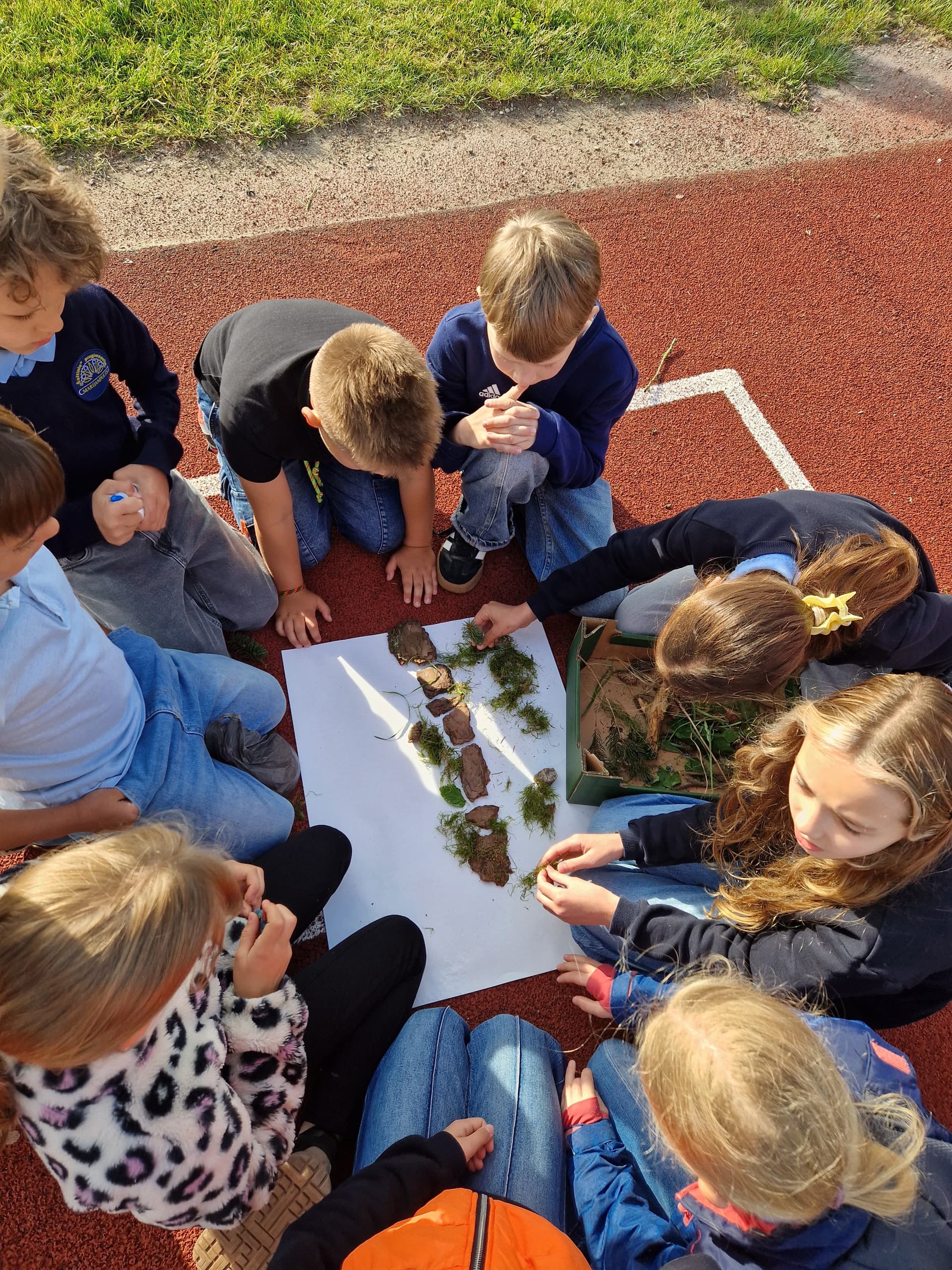 Students working on a nature project outdoors